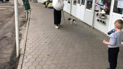 До Львова повернулись роми (ФОТО)