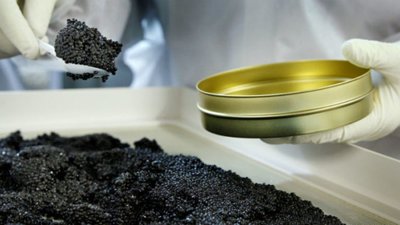 Фермер на Львівщині налагодив виробництво чорної ікри (ФОТО)