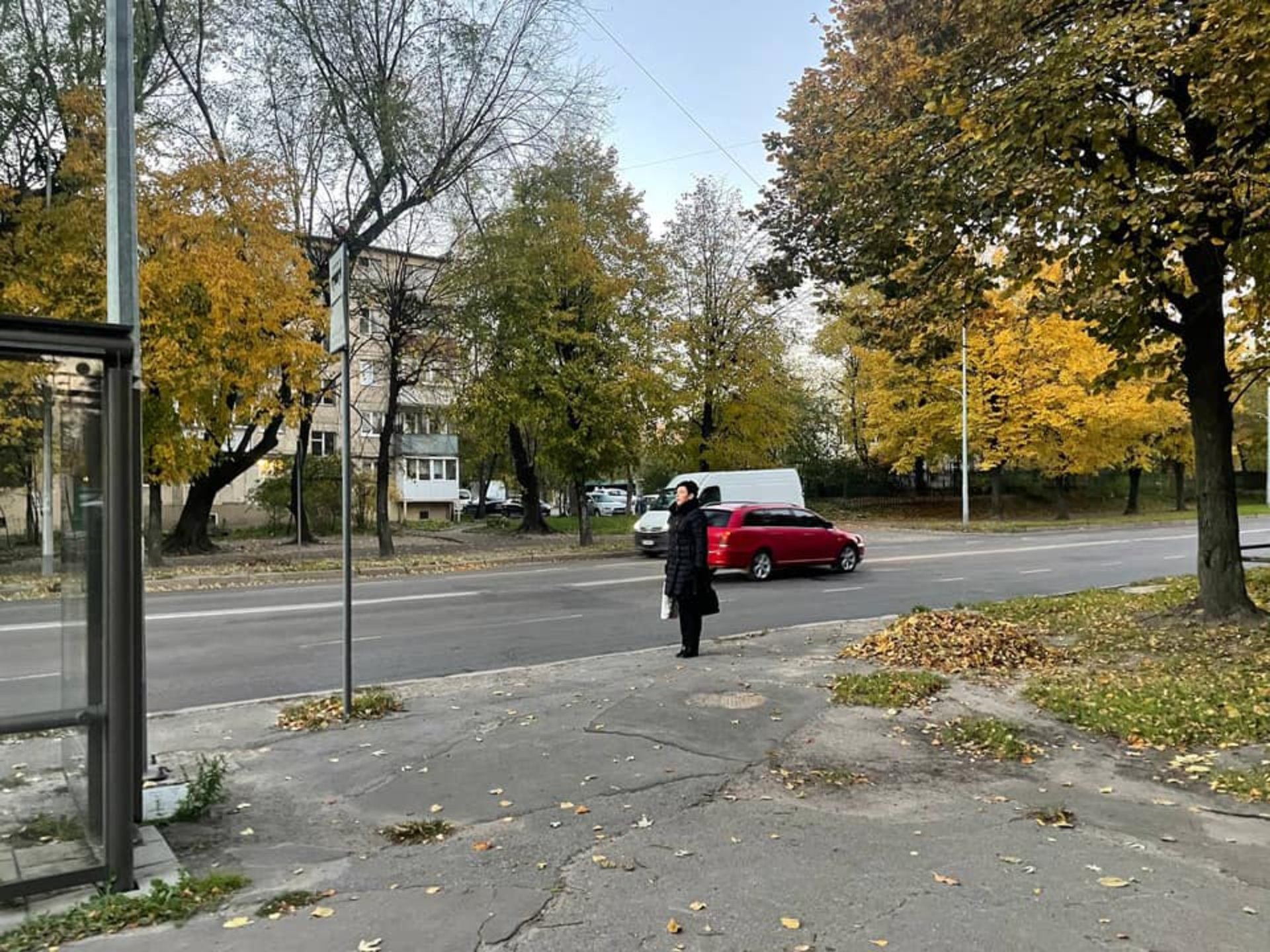 У Львові на Богдана Хмельницького пропонують перенести пішохідні переходи, фото партія Варта