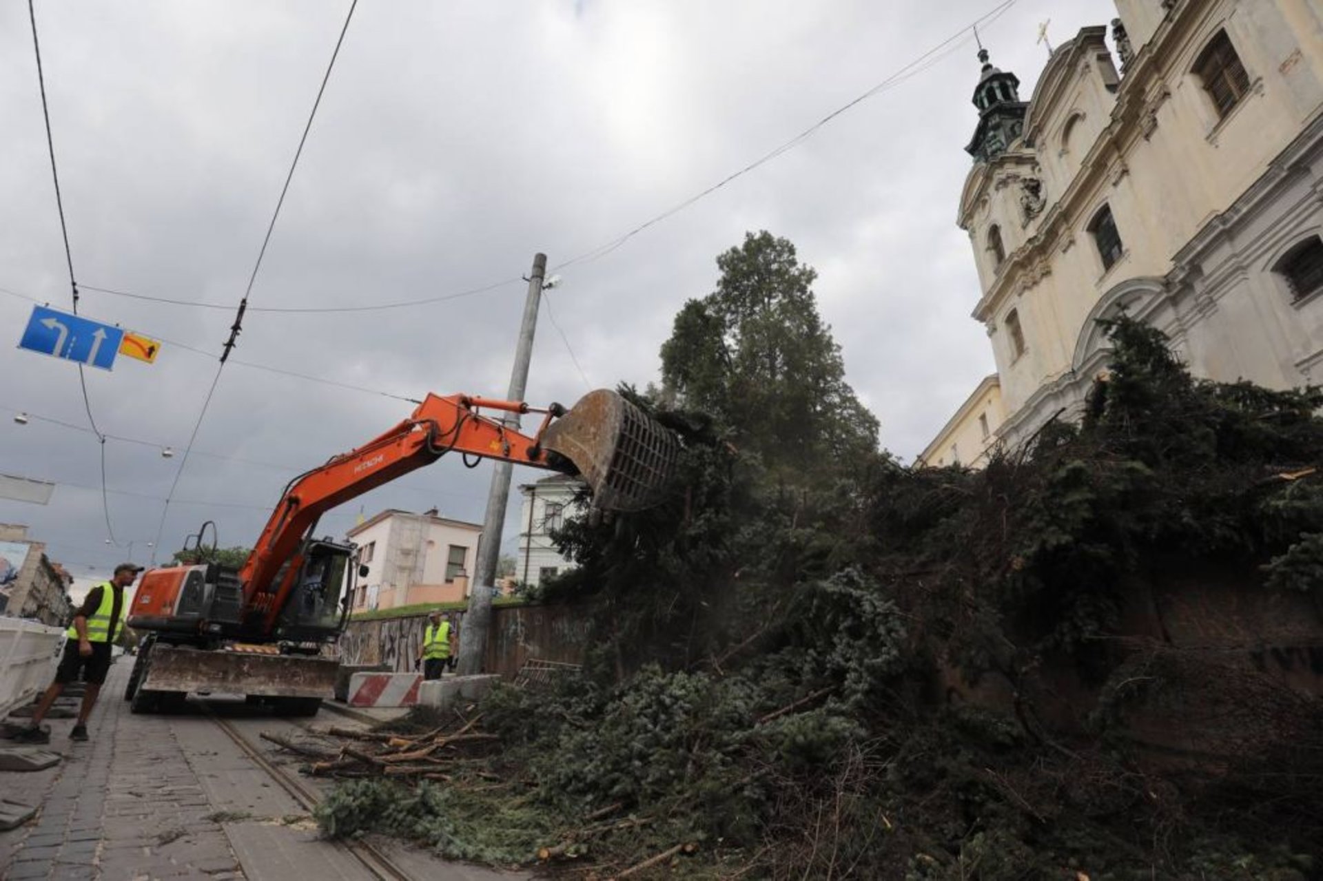 У Львові зрізали 40-річні ялинки біля Органного залу