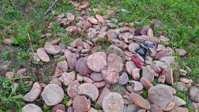 На Самбірщині невідомі викинули на узбіччя дороги десятки буханок хліба (ФОТО)