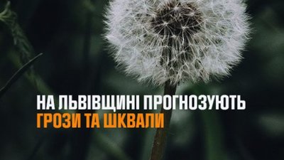На Львівщині очікують грози