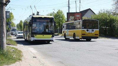 У Львові на Мазепи зріжуть дерева (ФОТО, ВІДЕО)
