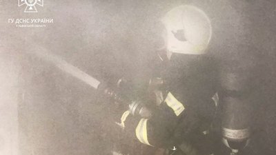 У Зубрі під час пожежі врятували чоловіка і кота (ФОТО)