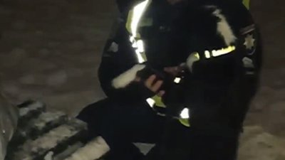 У Львові собаку привʼязали до лавки (ВІДЕО)