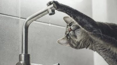 У Львові знову прорвало воду Садового