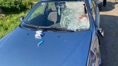 На Львівщині поліцейські затримали нетверезого водія, який скоїв наїзд на велосипедиста