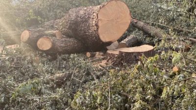 У Львові розкритикували ремонт вулиці Мазепи