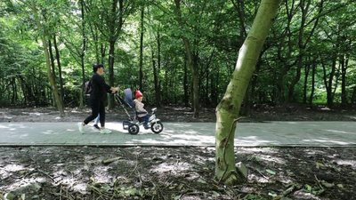 Мешканців Львова просять утриматись від походів до парків