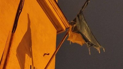 У Львові зледеніли навіть прапори (ФОТО)