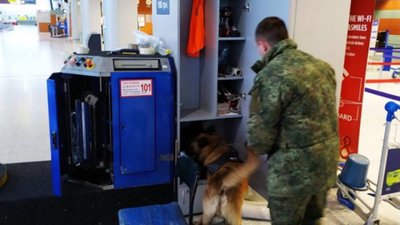 Як у львівському аеропорту бомбу шукали (ФОТО)