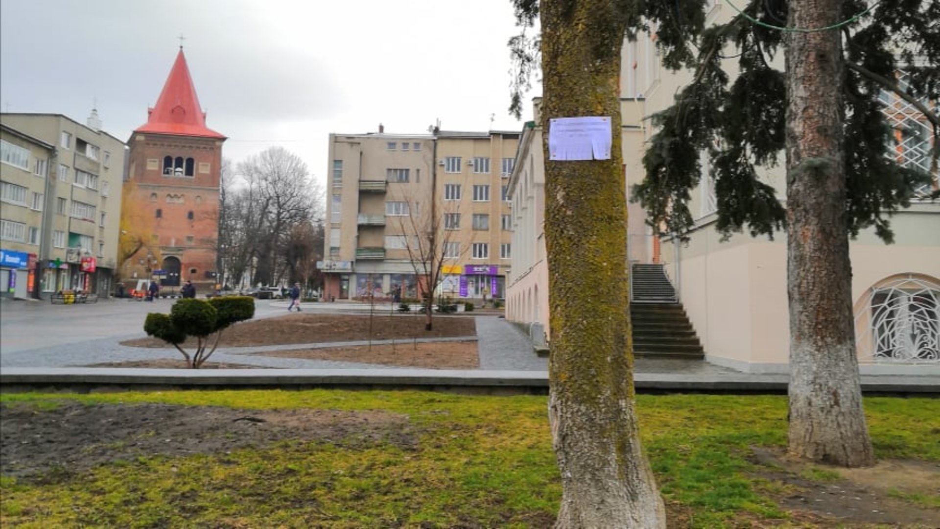 Фото: ДМР