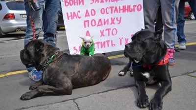 Львів`ян закликають долучитись до зоозахисної акції "Україна - не живодерня"
