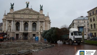 На Львівщині визначили місця продажу ялинок