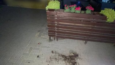 У Львові чоловік вирвав декоративні зелені насадження (ФОТО)