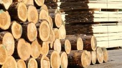 У райцентрі на Львівщині працівник деревообробного підприємства загинув під обвалом деревини