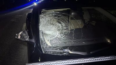 У Львові Tesla наїхала на пішохода