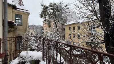 У Львові продають історичну віллу