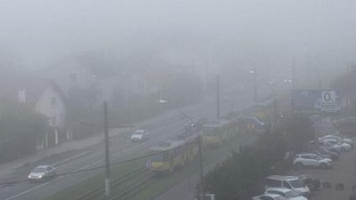 У Львові через ДТП зупинився рух трамваїв (ФОТО)