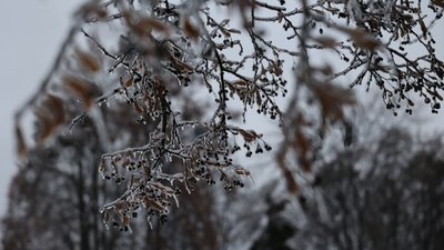 На Львівщині оголосили штормове попередження
