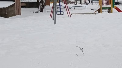 У Львові від снігу не чистять навіть дитячі майданчики (ФОТО)