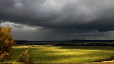 На Львівщині сьогодні вдень на всій території області грозові дощі