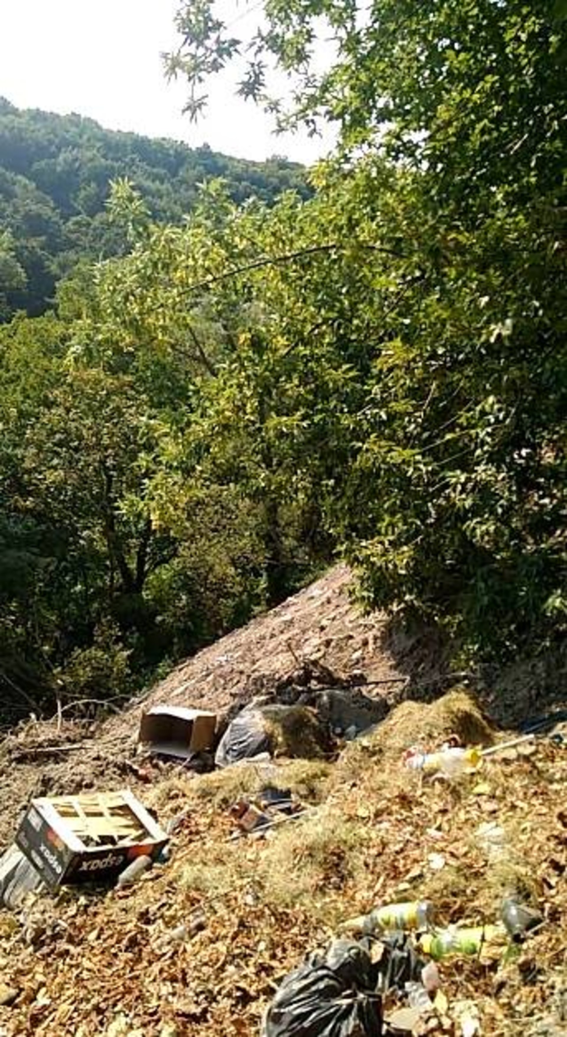 Підлеглі Садового утворили біля Львова стихійне сміттєзвалище