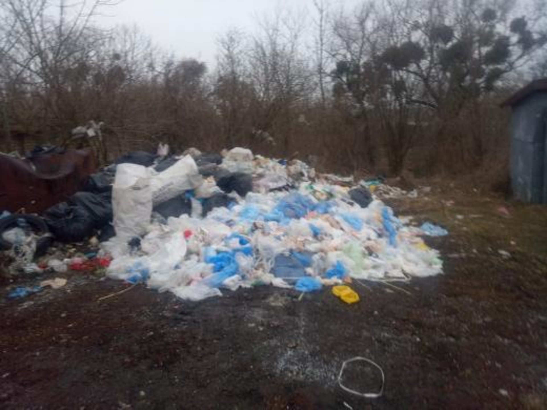 Фото: "Буськ онлайн"