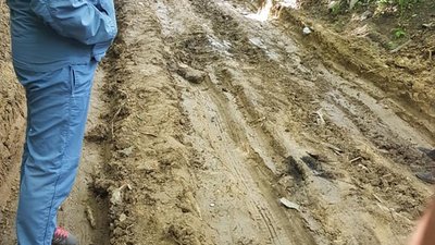 Як дороги Садового перетворились на хащі (ФОТО)