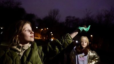 У Львові випустять у природу 58 врятованих кажанів