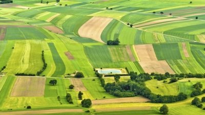 На Львівщині виставлять на аукціон відразу 11 ділянок (перелік)