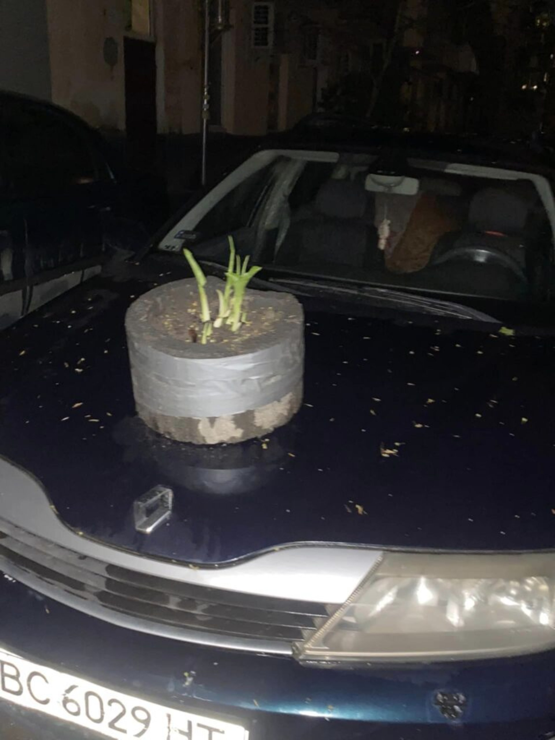 У Львові невідомі наробили збитків власникам авто