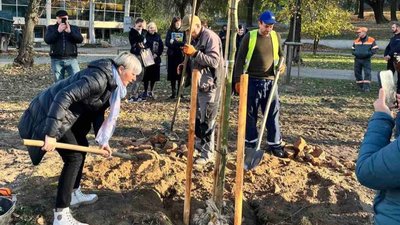 У Львові на Городоцькій висадили дерева