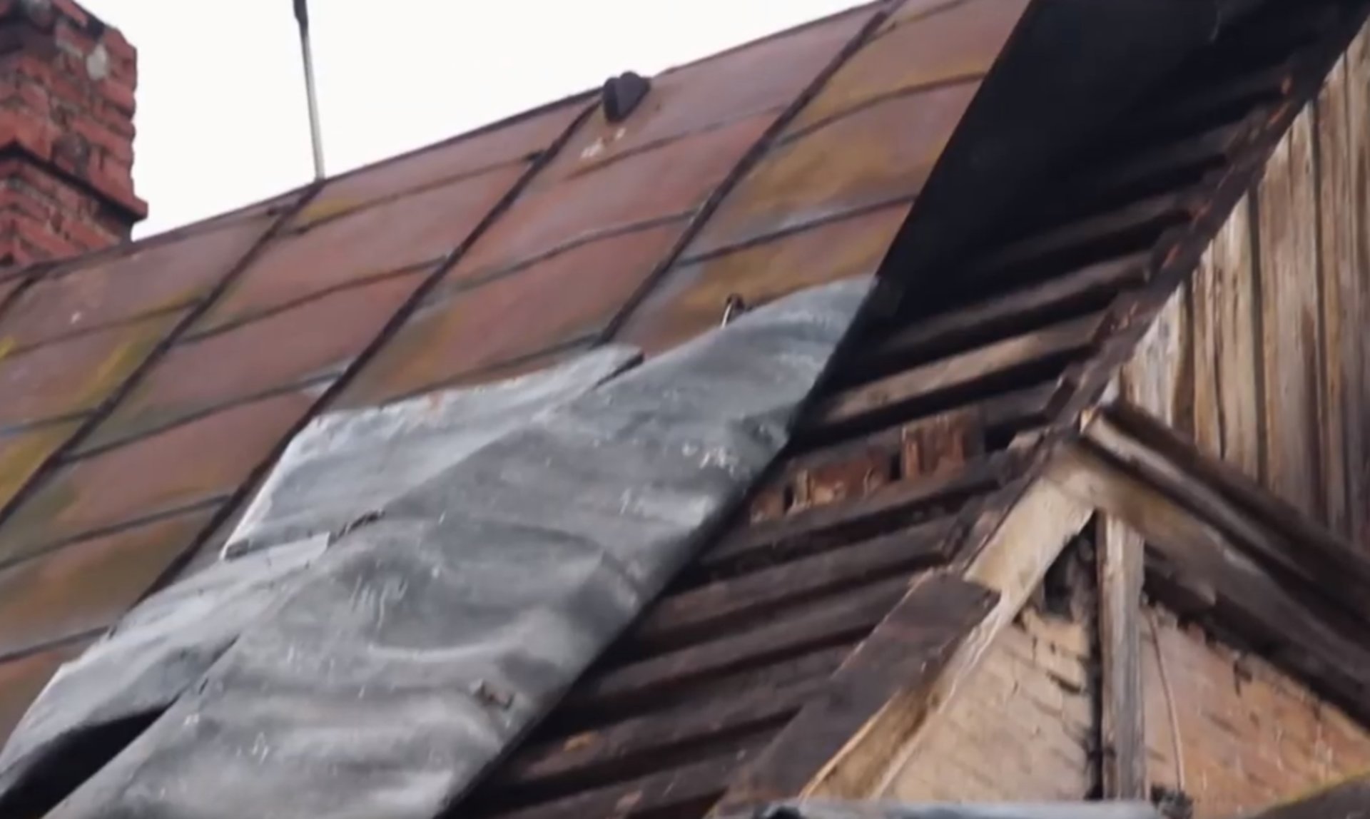 Скриншот відео
