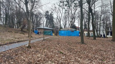 У Львові у парку порізали здорові дерева, щоб зробити «Пʼяну вишню» Садового (ФОТО)