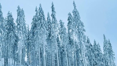 Скільки коштує відпочинок в горах на Львівщині на свята