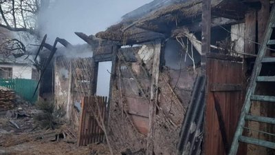 На Львівщині загинули свійські тварини