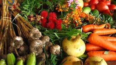 Аграрії Львівщини нарощують темпи виробництва сільськогосподарської продукції