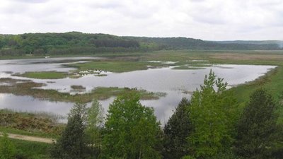 Мешканці Яворівщини з місцевого заказника налагодили незаконний збут піску на будови