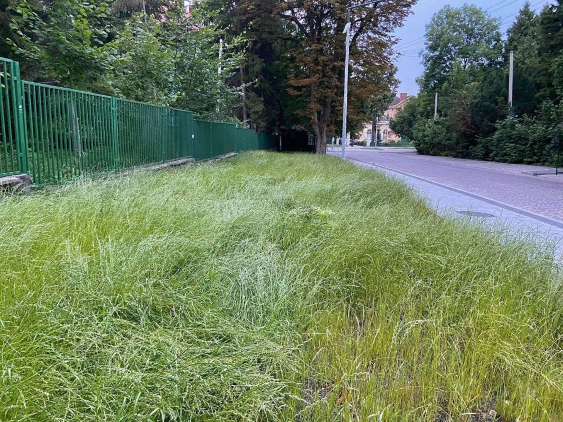 У Львові до кінця літа обіцяють завершити ремонт Пекарської , фото ЛМР