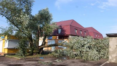 У Волинській області вітер зривав дахи з будинків і валив дерева