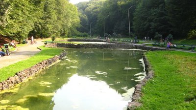 У водоймах Скнилівського парку Львова, виявили високий вміст забруднюючих речовин