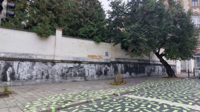 Розкрито таємницю зелених «міток» у Львові: що вони означають (ФОТО)