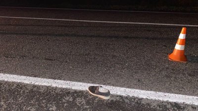 На Львівщині мікроавтобус збив жінку