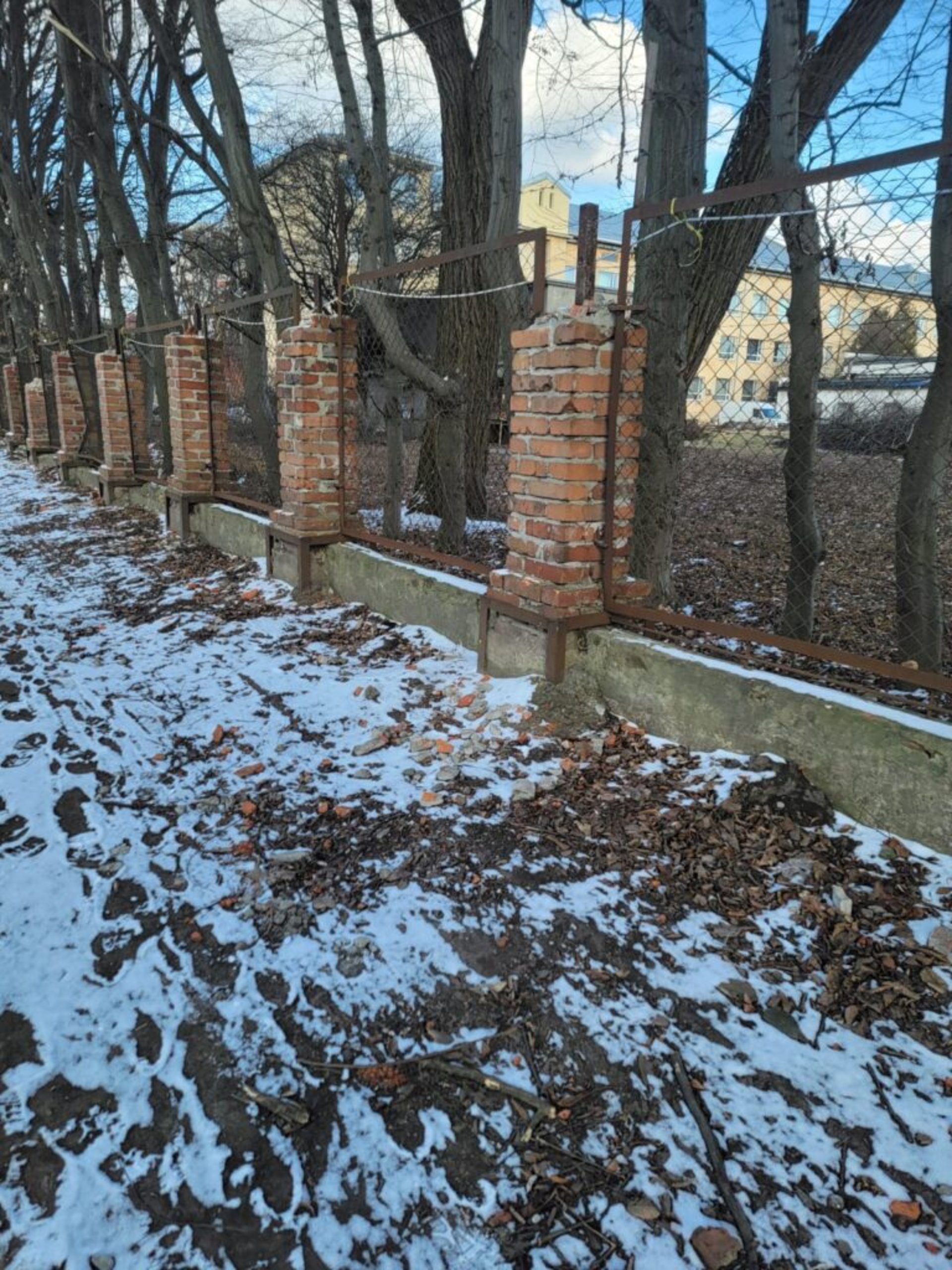 У Львові на місці скандального будівництва зрізали дерева, фото Четверта студія