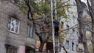 На Дніпропетровщині надзвичайники спустили з дерева вагітну жінку (ФОТО)