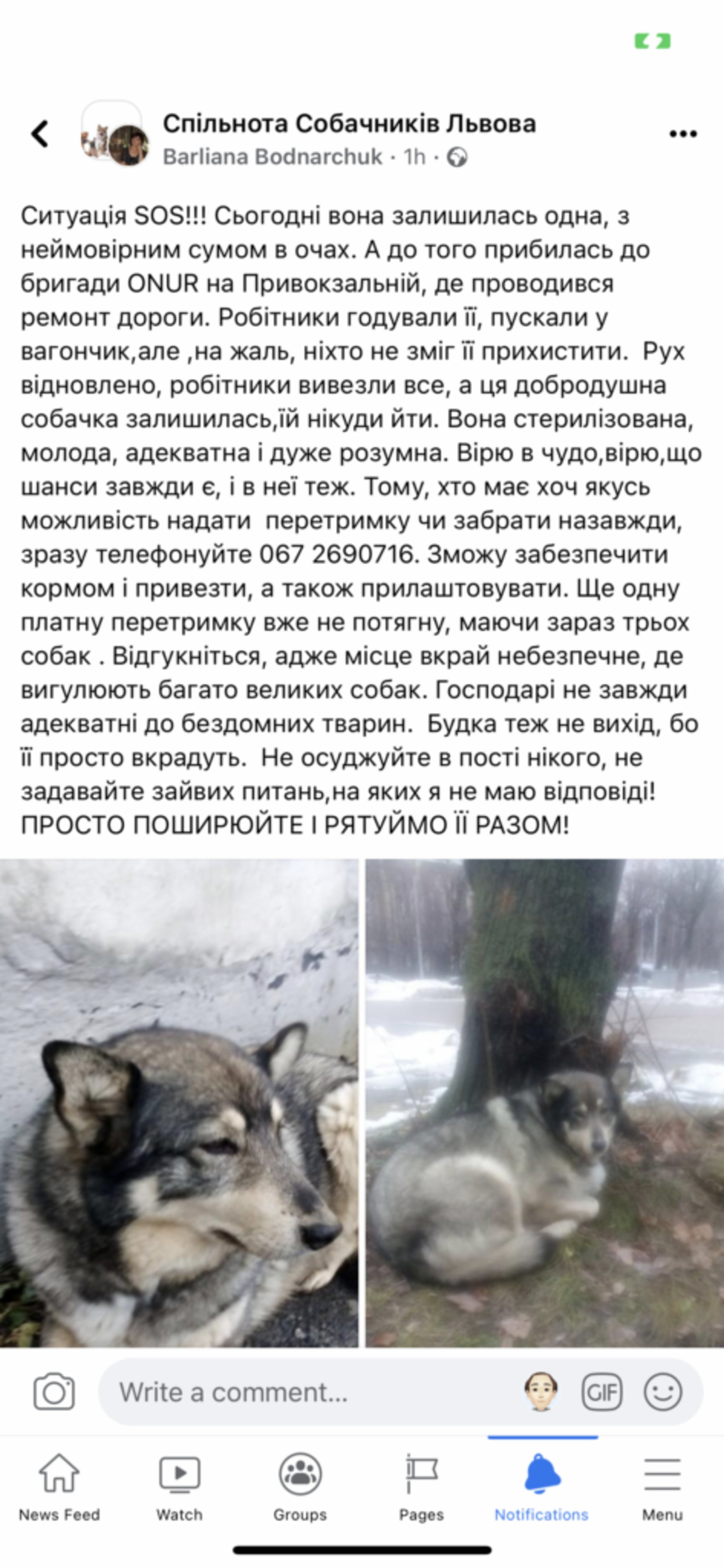 Скрін повідомлення