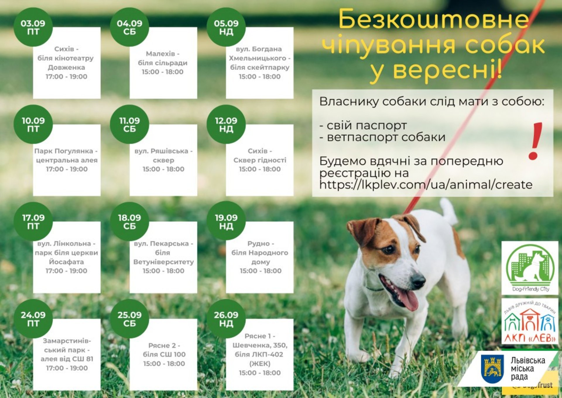 ЛКП «Лев» здійснить ще 6 акцій з виїзного чіпування собак