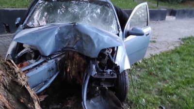 У Львові п’яний водій влетів у дерево (ФОТО)