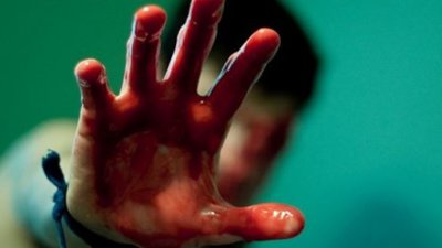 Чоловіка, який жорстко вбив свою співмешканку, посадять на 7 років